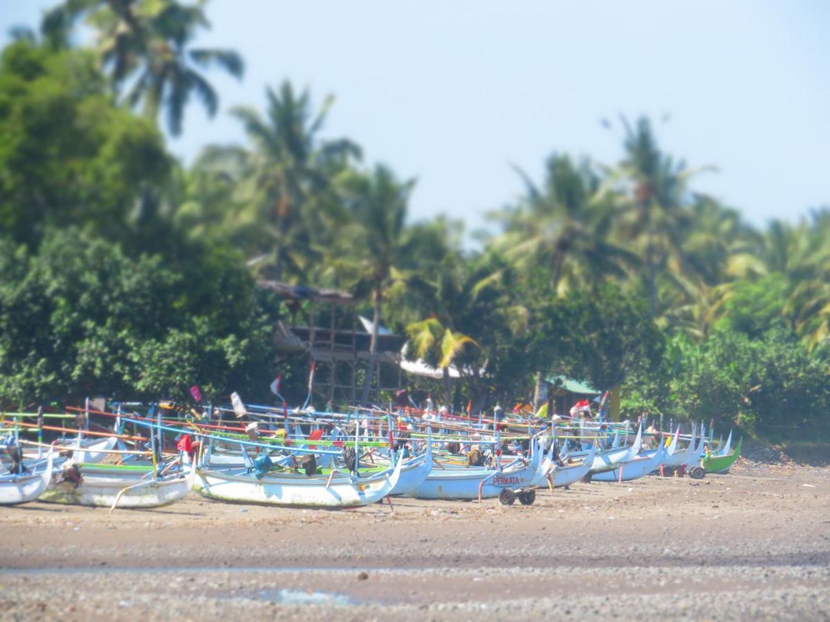 Kelapa Surf Villa Pulukan Eksteriør billede